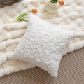 White faux fur pillow cover with a curly texture and square shape for home decor - White Brushed Bunny Plush Pillowcase (Cover Only)