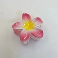 Pink and yellow gradient plumeria flower hair claw clip with glossy resin finish - Bauhinia Hair Claw / Pack of 12 (8x7x4.3cm) / Pink
