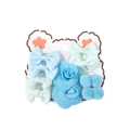 Detail of blue chiffon flower and ribbon bows on cute bear-shaped display card - Light Blue & Mint Green Series