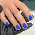 Short press-on nails in vibrant gloss royal blue finish for a professional manicure look - Dark Blue (JP2638)