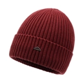 Deep red knit winter beanie with mountain logo patch and warm ribbed texture - Red