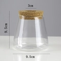 Creative cone-shaped clear glass hydroponic vase with cork lid for micro-landscapes - Volcano Cup