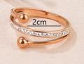 Rose gold titanium ring featuring a micro-set zircon band and 2cm inner diameter - US 6 / Rose Gold