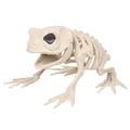 Realistische weiße Froschskelett-Deko für Halloween-Partys und Gruselige Dekorationen - Frosch Skelett