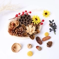 Natural pine cone and dried flower assortment for Christmas DIY craft decor - Set 2 - Combination B (Assorted Pack)