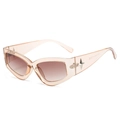 Y2K cat eye sunglasses with pink transparent frame and star detail on silver hinges - Champagne Frame Gradient Brown Lens