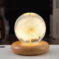 7cm Dandelion Sphere USB Plug-in