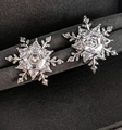 Elegantes pendientes de copo de nieve de plata con circonitas en un joyero de lujo - Poste de pendientes de plata - Estilo copo de nieve exquisito / Plateado