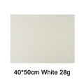 Reusable white non-stick baking sheet mat 40x50cm 28g for oven trays and cake rolls - 40x50cm-28g-White