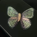 Irisierende Schmetterlingsbrosche mit goldenem Hammerschlag-Körper auf Schwarz - Grün