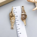 Golden acrylic shell pendant with natural texture and spiral wire wrap for DIY jewelry - Electroplated Gold Cream Acrylic Conch 49x14x14mm (23612)