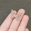 605-agile Butterfly