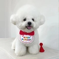 White Bichon Frise wearing red Happy Birthday pet bib and matching party hat - Red Bib