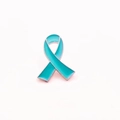 Teal awareness ribbon brooch with silver metal edge for health promotion and charity - Sky Blue