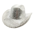 Silver sequin western cowboy hat for stage performance with a curved brim design - Silver Sequin Stripe