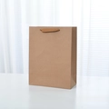 Vertical brown kraft paper shopping bag with matching flat woven handles on white surface - Size X2 Vertical (21x10x27cm) / 1 Piece