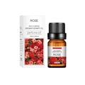 10ml Rose multi-purpose aromatherapy perfume oil in amber glass bottle with gift box - Rose