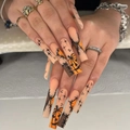 Halloween-Nägel zum Aufkleben mit orangefarbenem Kürbis- und Sternmuster, lang und eckig - Halloween Kürbis Stern Stil - Kleber Typ (SGCY-578)