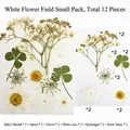 Kit da 12 fiori secchi bianchi con gipsofila e ortensia per stampi in resina epossidica - Mini Pacchetto di Fiori Bianchi