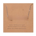 Macro shot of silver Capricorn zodiac necklace on craft card packaging - Silver-Capricorn