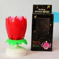 Musical lotus birthday candle with double-layer red petals and black retail packaging box - Deluxe Double Layer Style / Red