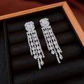 Close-up of sparkling silver tassel earrings with bow-knot and zircons in a box - Silver Long Tassel (23#)