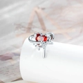 Titanium stalen oorknopjes met rood hart zirkoon en stervormige zilveren metalen lijnen - Rood Hart