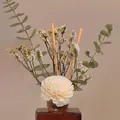 Dried sola flower bouquet in brown glass bottle with fiber sticks for home decor - Crystal Eucalyptus