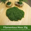 20g pack of dark green fibrous artificial moss for DIY bonsai and landscape decoration - 20g / Dark Green