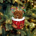 Niedlicher brauner Hund im roten Weihnachtsstrumpf mit Rentiergeweih als Baumschmuck - Braune Hunde
