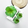 Translucent green plumeria hair clip set including three flower shaped shark clips - Cabbage Green Set (with Card)