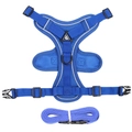 Set pettorina e guinzaglio per gatti blu brillante regolabile con rete traspirante e strisce - S / Blu (Classico)