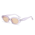 Chic cat eye sunglasses with transparent light purple frame and warm amber lenses - Transparent Purple Frame Tea Lens