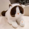 Realistic long-haired plush ragdoll cat doll in white and brown sitting on a sofa - 50cm No Bib / Coffee & White
