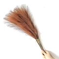 55cm brown artificial pampas grass bouquet with hand-held boho home decor style - 53-55cm / Yellow Coffee
