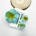 Set of three turquoise marble gradient plumeria flower hair claws for women - Cabbage-shaped Gradient Blue Set (including Cards)