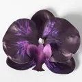 Testa di orchidea phalaenopsis artificiale in seta viola scuro per artigianato DIY - Pellicola 3D Viola Scuro (Grande)
