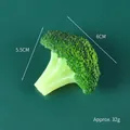 Realistisch kunstmatig broccoli-voedselmodel, groente rekwisiet voor decoratie, 32g - Broccoli-Model