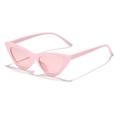 Stylish cat-eye sunglasses for women featuring light pink frames and matching pink lenses - Pink Frame / Pink Lens