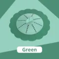 Rotary silicone flower drain hair catcher in green finish for kitchen and bathroom - Dark Light Green / Dark Light Green