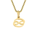 Gold-plated box chain necklace with Cancer zodiac sign pendant in minimalist style - Cancer / Gold