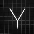 Lettera Y