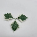 Detailansicht künstlicher Stechpalmenblätter mit weißem Rand für DIY Weihnachtsdeko - Stechpalmenblätter mit weißem Rand