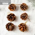 Set de 6 piñas naturales con cordones dorados para decoración de árboles de Navidad - Piñas de Color Natural de 4cm / Juego de 6