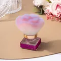 Nahaufnahme des flauschigen Make-up-Pinsels mit luxuriösem Griff aus roten Strasssteinen - Verlauf Rosa Blumenstil / Rosarot