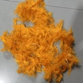 Gold Yellow