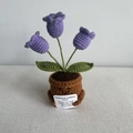 Handmade crochet potted plant with purple tulips and an emotional support card doll - 3-Head Lily of the Valley - Purple