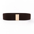 Close-up of brown elastic belt with golden double-buckle on white background - Brown