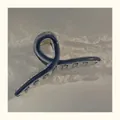 Pinza de pelo minimalista gris oscuro translúcida de acrílico con resorte dorado - Azul marino