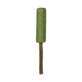 Natural catnip grass ball chew stick for pets featuring a green compressed grass cookie - Ice Pop
